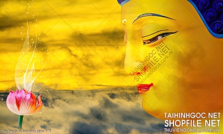 file tranh in uv phat giao 478