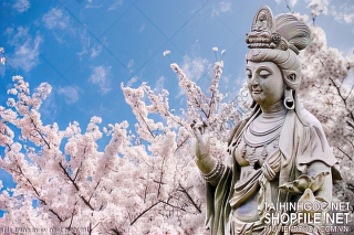 file tranh in uv phat giao 491