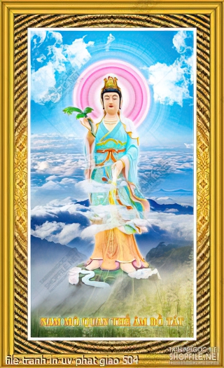 file tranh in uv phat giao 504