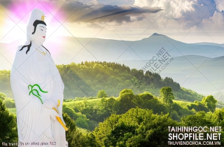 file tranh in uv phat giao 513