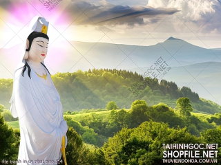 file tranh in uv phat giao 514