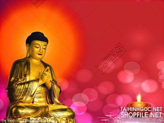 file tranh in uv phat giao 524