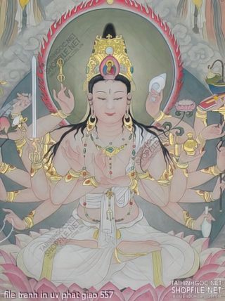 file tranh in uv phat giao 557
