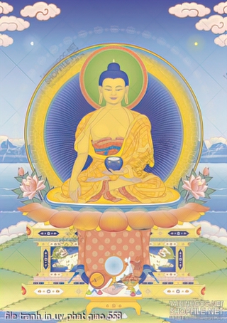 file tranh in uv phat giao 558