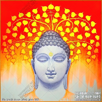 file tranh in uv phat giao 568