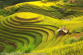 file tranh lang que viet nam ruong bac thang