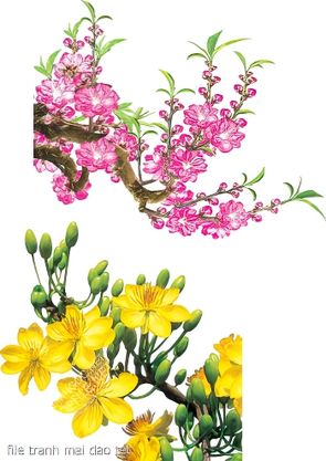 file tranh mai dao tet