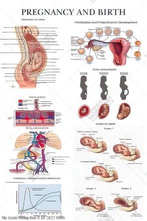 file tranh y khoa thai ky mang thai 8 10 2022 thien