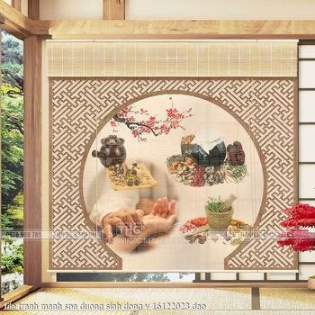 file tranh manh spa duong sinh dong y 16122023 dao