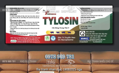 file tranh nhan mac 19082025 nga