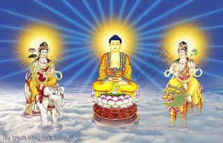 file tranh phat anh quoc