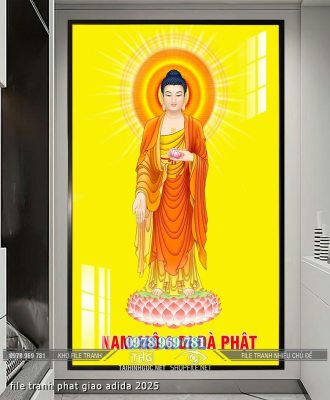 file tranh phat giao adida 2025