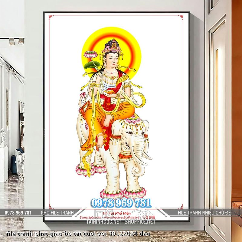 file tranh phat giao bo tat cuoi voi 30122024 dao