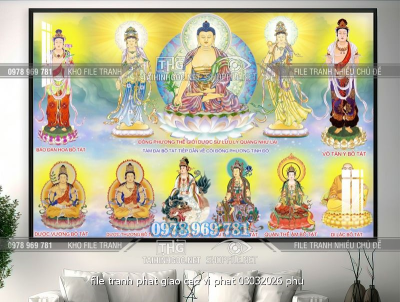 file tranh phat giao cac vi phat 03032026 phu