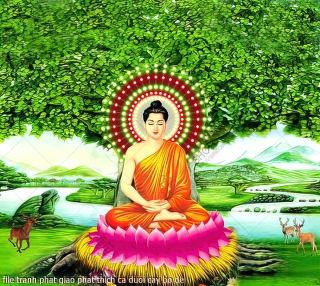 file tranh phat giao phat thich ca duoi cay bo de