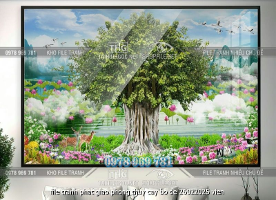 file tranh phat giao phong thuy cay bo de 26022025 vien