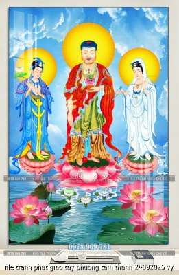 file tranh phat giao tay phuong tam thanh 24092025 vy