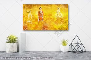 file tranh phat giao truc chi 17122022 tien