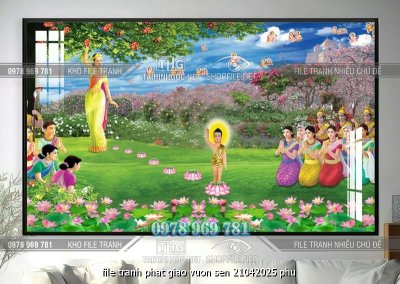 file tranh phat giao vuon sen 21042025 phu