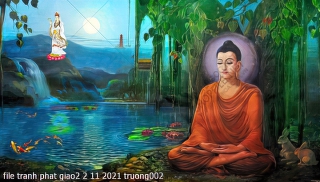 file tranh phat giao2 2 11 2021 truong002