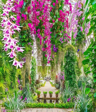 file tranh phong canh 13 8