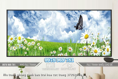 file tranh phong canh bau troi hoa cuc trang 372024 ho