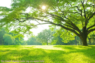 file tranh phong canh cay co xanh tuoi file tranh phong canh cay co xanh tuoi