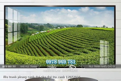file tranh phong canh doi che doi tra xanh 13072024