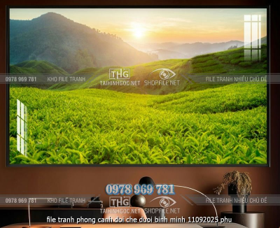 file tranh phong canh doi che duoi binh minh 11092025 phu