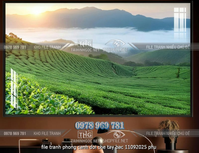 file tranh phong canh doi che tay bac 11092025 phu