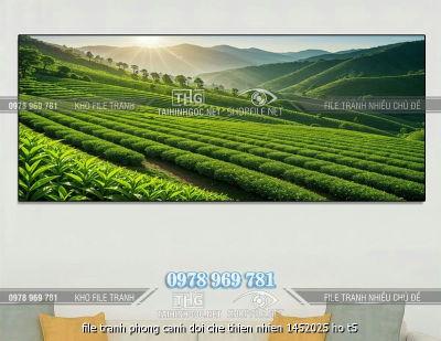 file tranh phong canh doi che thien nhien 1452025 ho t5