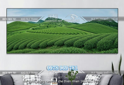 file tranh phong canh doi che thien nhien 1452025 ho t7