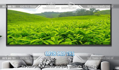 file tranh phong canh doi che trang quan cafe 192025 ho