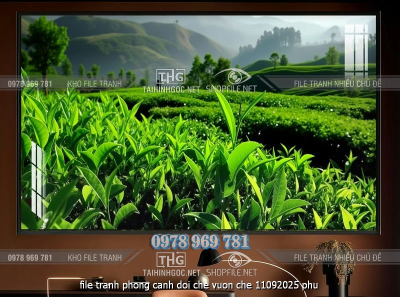 file tranh phong canh doi che vuon che 11092025 phu