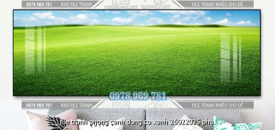 file tranh phong canh dong co xanh 26022025 phu