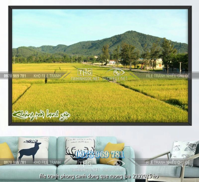 file tranh phong canh dong que ruong lua 2292025 ho