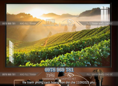 file tranh phong canh hoang hon doi che 11092025 phu