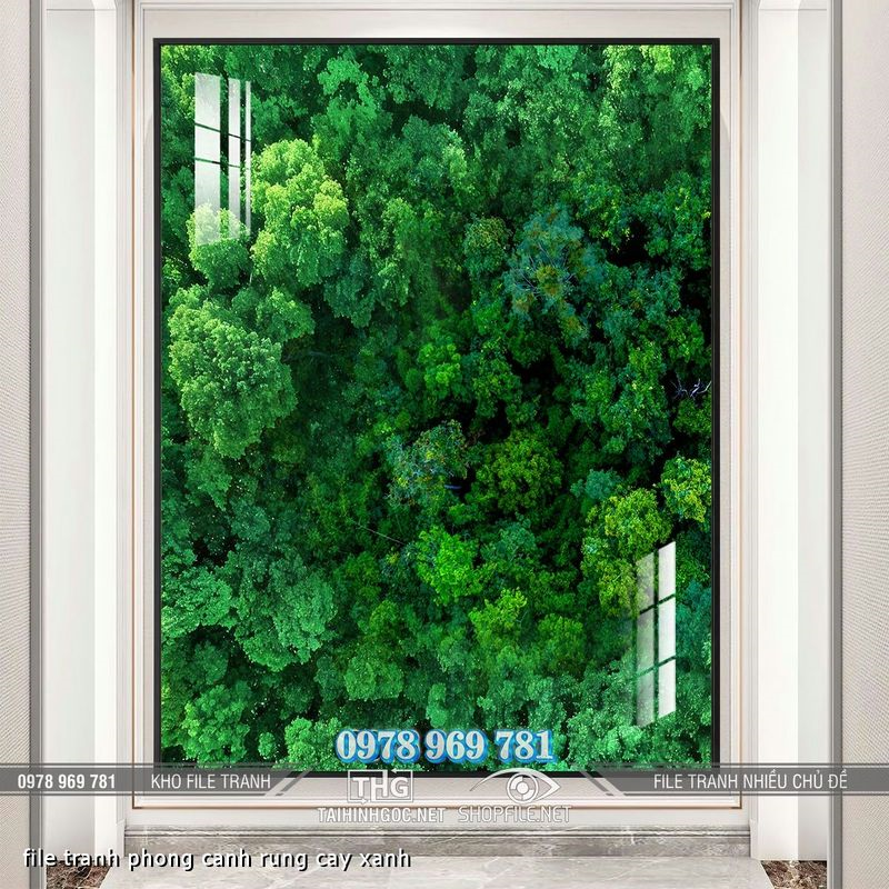 file tranh phong canh rung cay xanh