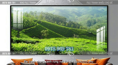 file tranh phong canh rung nui doi che 11092025 phu