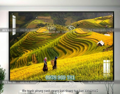 file tranh phong canh ruong bac thang tay bac 29082025