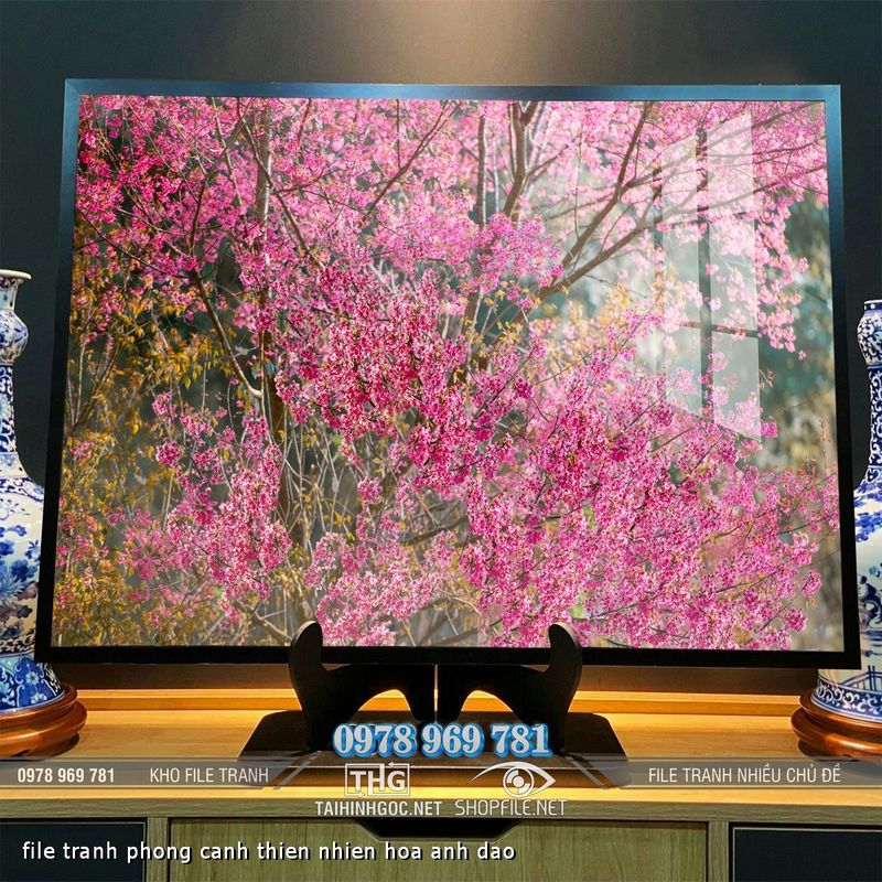 file tranh phong canh thien nhien hoa anh dao