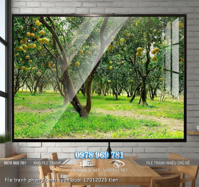 file tranh phong canh vuon buoi 17012025 tien
