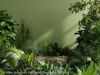 file tranh phong nen background livestream ban hang 56