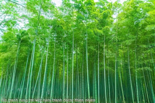 file tranh rung tre viet nam tranh decor thien nhien