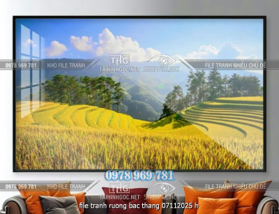 file tranh ruong bac thang 07112025 h
