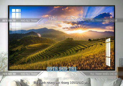 file tranh ruong bac thang 16082025 phu