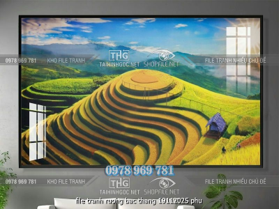 file tranh ruong bac thang 19112025 phu
