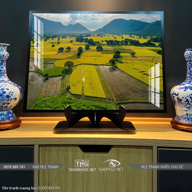 file tranh ruong lua 21022024 h