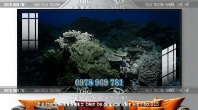 file tranh san ho duoi bien be ca decal dan kinh 6d 015