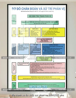 file tranh so do xu ly soc phan ve 23042025 phu